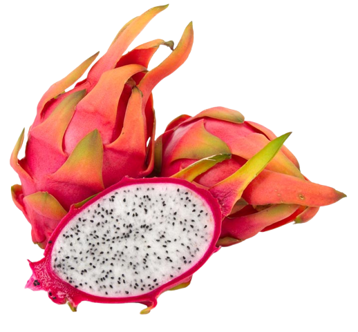 dragon fruit ecuador, pitahaya ecuador, pitahaya exporters, dragon fruit exporters, exotic fruits ecuador